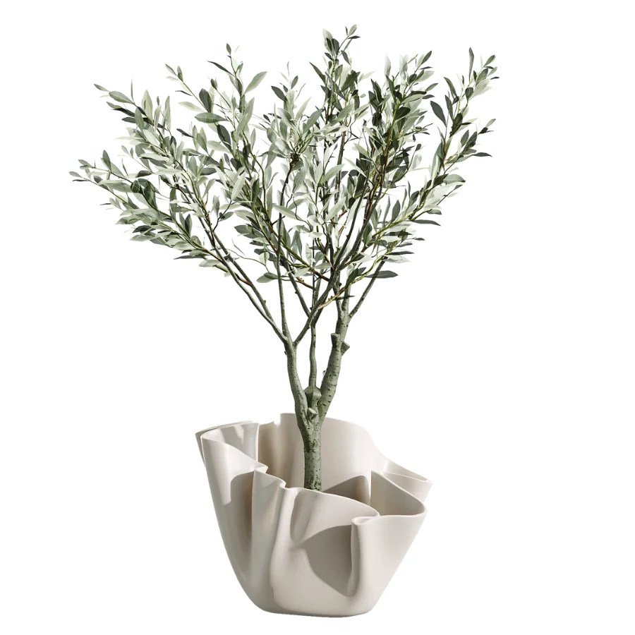 AV Indoor Plants Set 487 Lady Palm and Olive Tree and Snake Sansevieria - Image 2