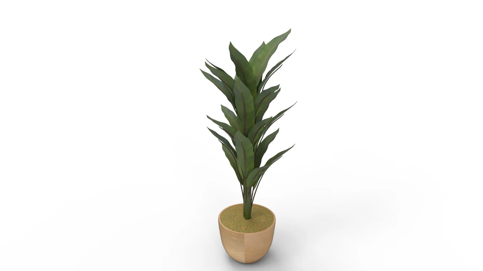 Banana Leaf Tree in Planter - Image 9