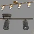 Ceiling Light - Thumbnail 2
