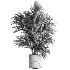 indoor plant 045 - Thumbnail 1