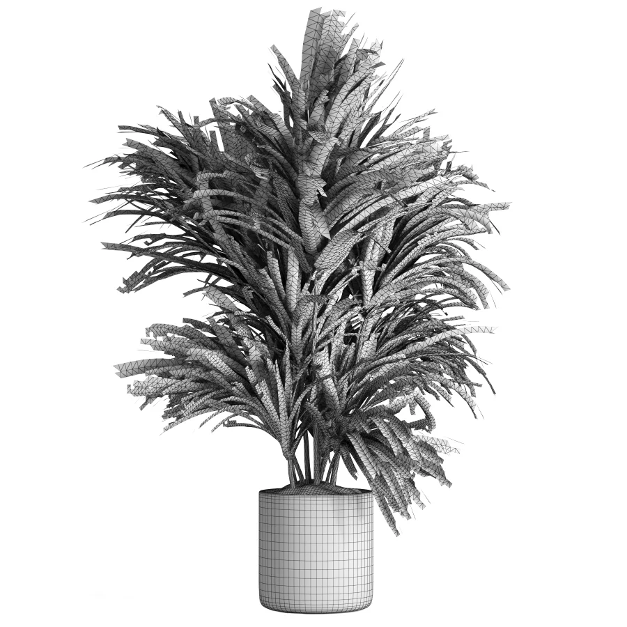 indoor plant 045 - Image 1