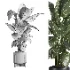indoor plant 058 - Thumbnail 5