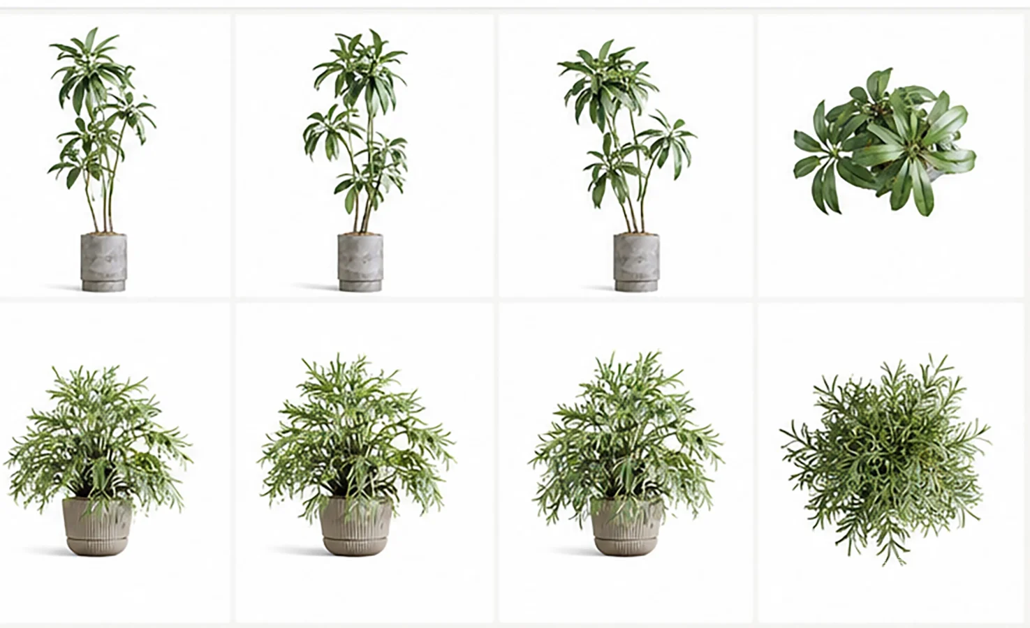 Modern Tropical Indoor Plant Collection | High Poly Decorative Plants - Image 3