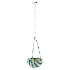 Melange Small Elongated Alabaster Pendant by Visual Comfort - Thumbnail 4