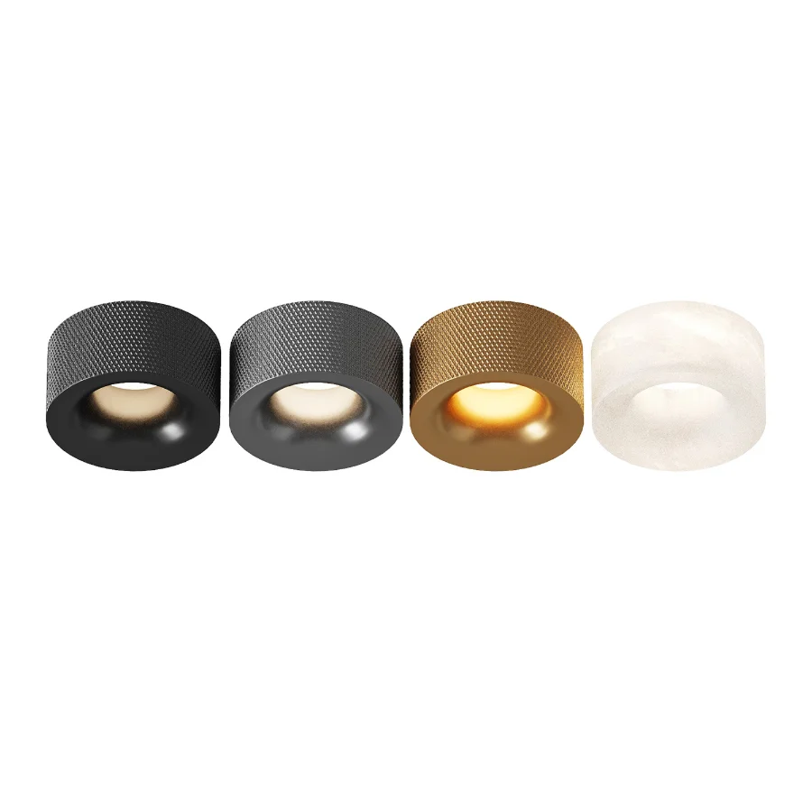 Aromas Del Campo Focus Ceiling Lamp - Image 1