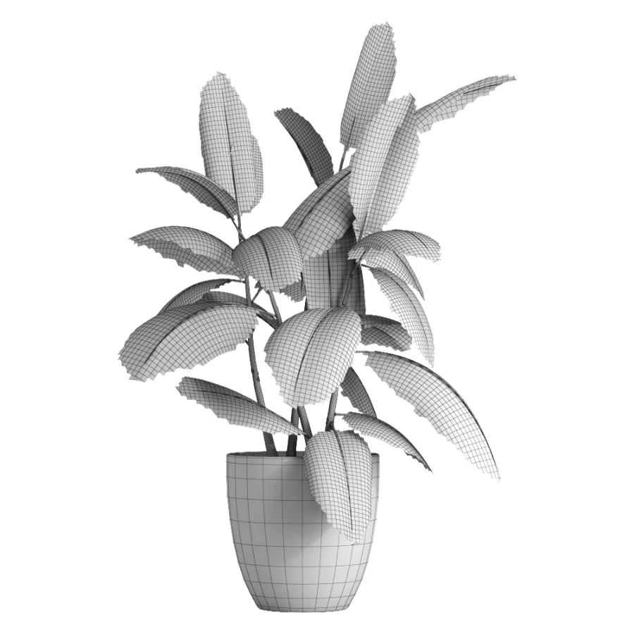 indoor plant 079 - Image 4