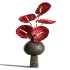 Burgundy and Olive Anthurium 61 - Thumbnail 3