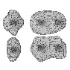 Wall lamp BLOB - Thumbnail 7
