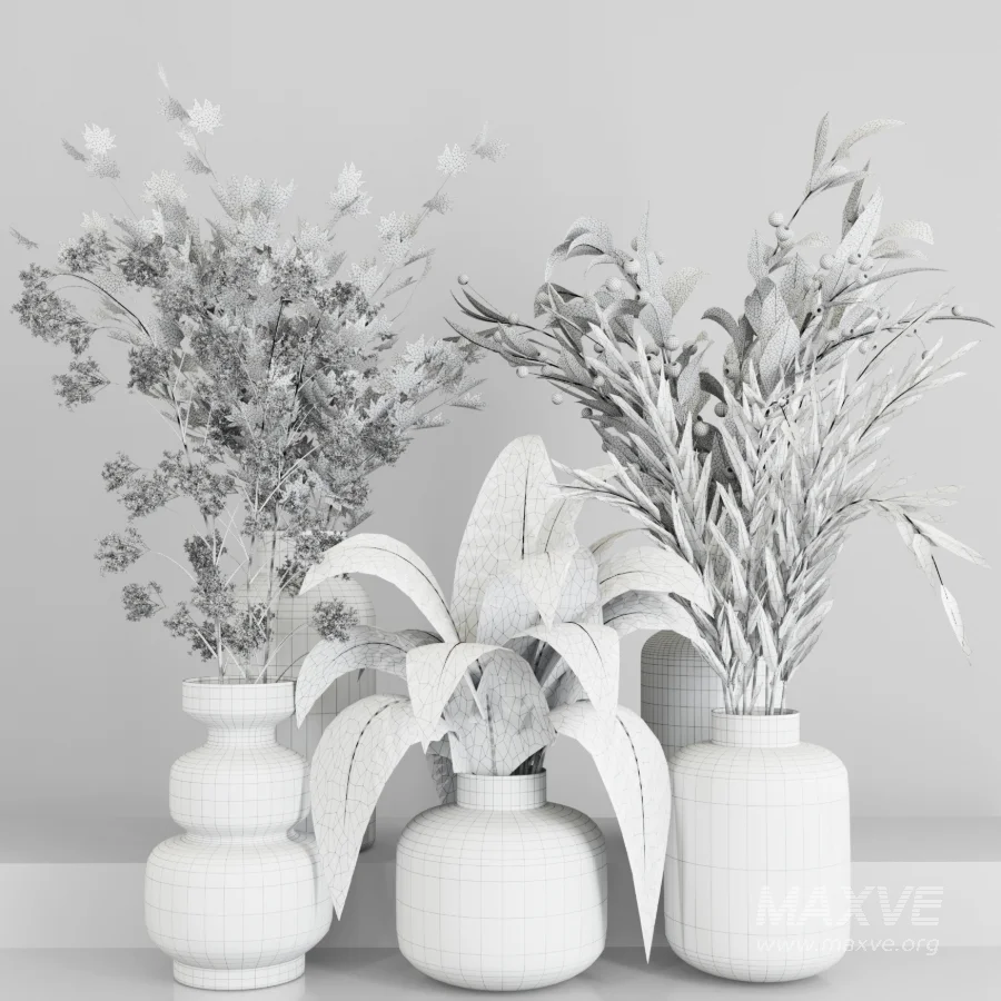 Plant Collection 017 - Image 1