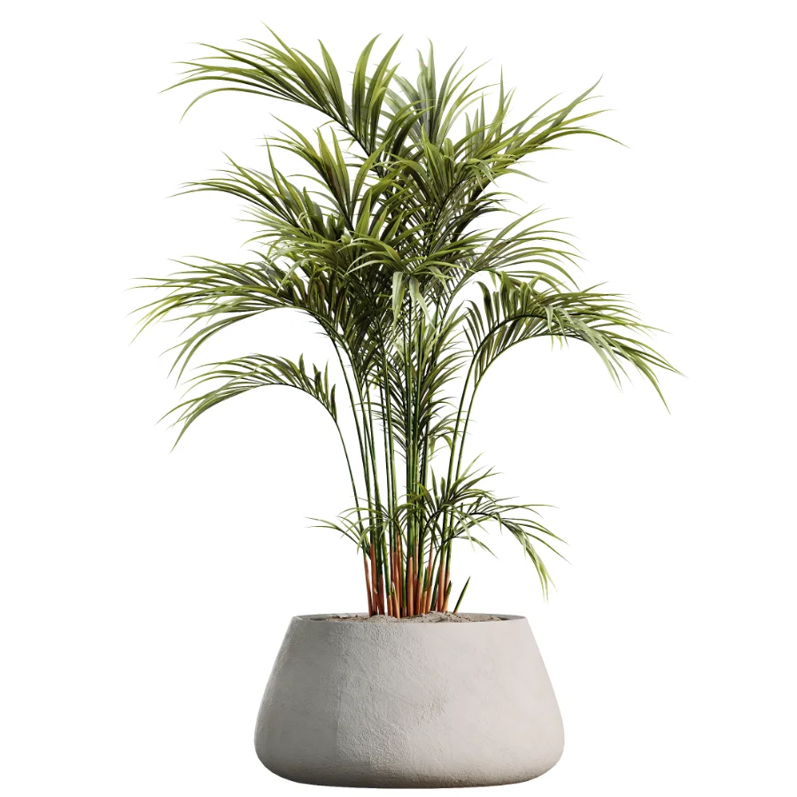 ntal greenery, making it an excellent choice for luxury interiors, hospitality spaces, commercial environments, and architectural landscape scenes. - Image 3