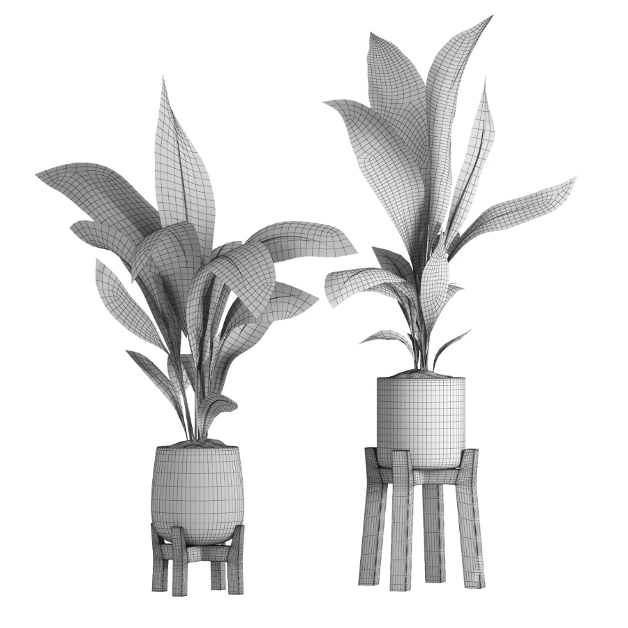 indoor plant 044 - Image 2