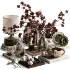 Tabletop Amber Decor Set31 - Thumbnail 2