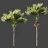 ntal fruits. - Thumbnail 8