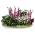 Whispering Garden - Thumbnail 1