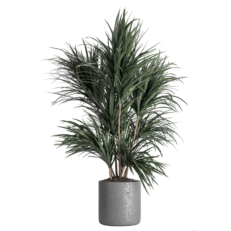 indoor plant 045 - Image 3