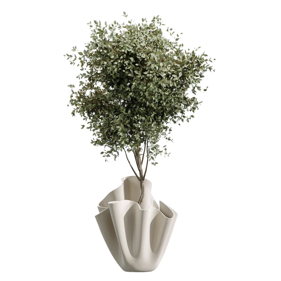 AV Indoor Plants Set 487 Lady Palm and Olive Tree and Snake Sansevieria - Image 5