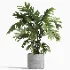 indoor plant 043 - Thumbnail 4