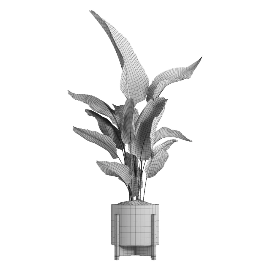 indoor plant 053 - Image 1