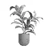 indoor plant 047 - Thumbnail 2