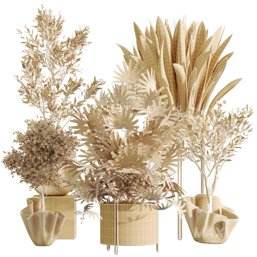 AV Indoor Plants Set 487 Lady Palm and Olive Tree and Snake Sansevieria - Image 10