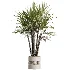 AV Indoor Plants Set 490 Yucca Olive Artificial Rhapis Orange Palm - Thumbnail 5