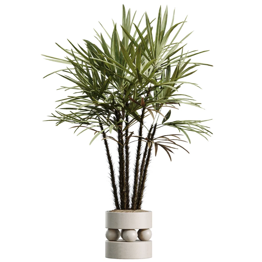 AV Indoor Plants Set 490 Yucca Olive Artificial Rhapis Orange Palm - Image 5