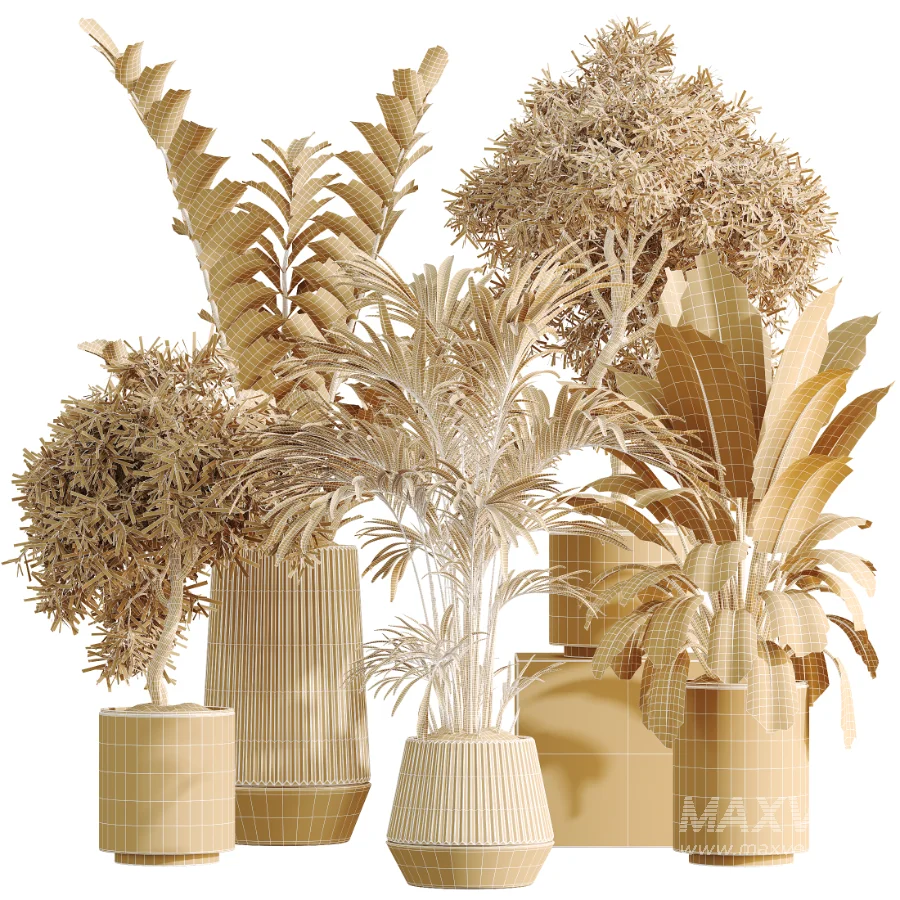 AV Indoor Plants Set 498 Cat Reed Palm Ficus Olive Zamioculcas - Image 6