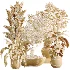 AV Indoor Plants Set 477 Elegant Monstera and Peace Lily and Chemlali Olive and Euphorbia Drupifera and Cat Reed Palm - Thumbnail 12