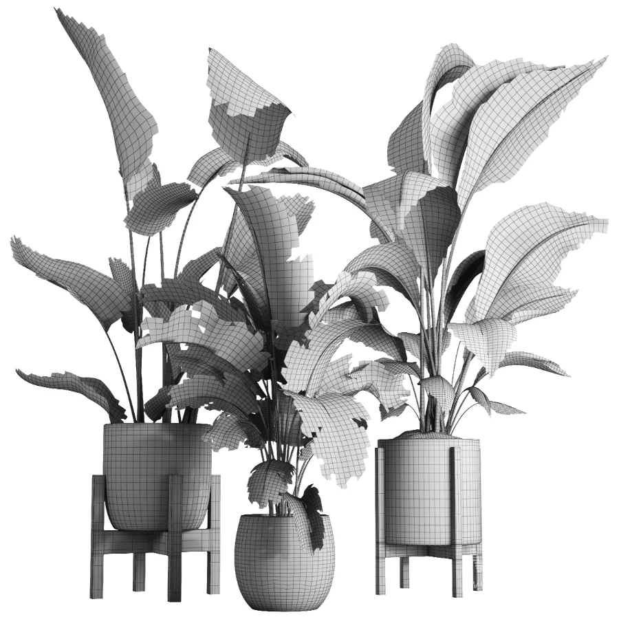 indoor plant 074 - Image 5
