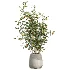 AV Indoor Plants Set 490 Yucca Olive Artificial Rhapis Orange Palm - Thumbnail 6