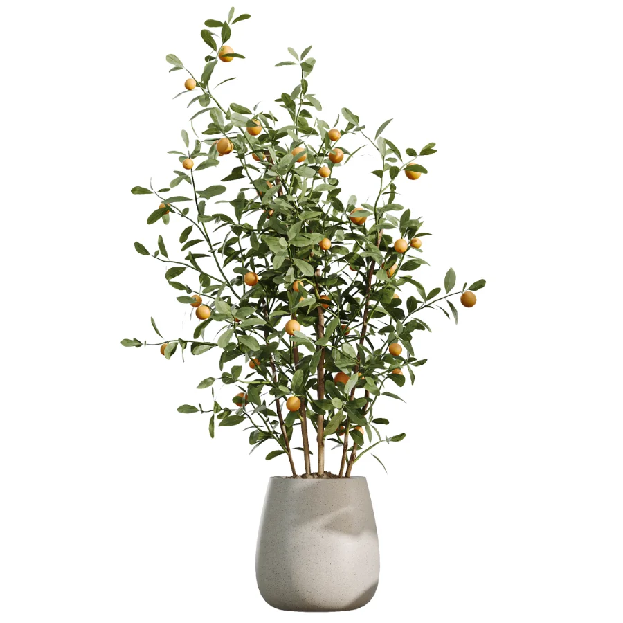 AV Indoor Plants Set 490 Yucca Olive Artificial Rhapis Orange Palm - Image 6