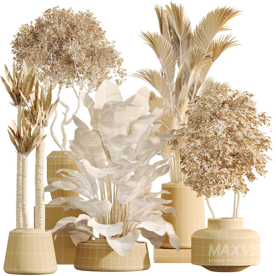 AV Indoor Plants Set 480 Olive Palm ParadiseBird Yucca - Image 7