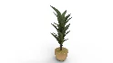 Banana Leaf Tree in Planter - Thumbnail 5