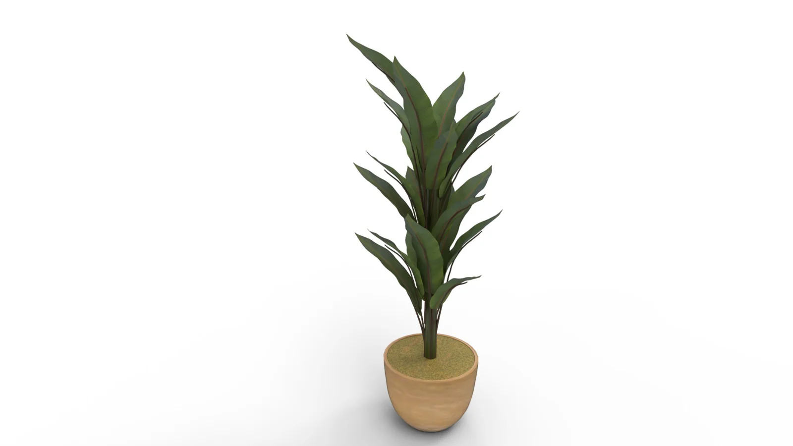 Banana Leaf Tree in Planter - Image 5