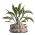 ntal plant species to create a balanced composition suitable for modern interiors, outdoor environments, and high-end architectural scenes. - Thumbnail 6