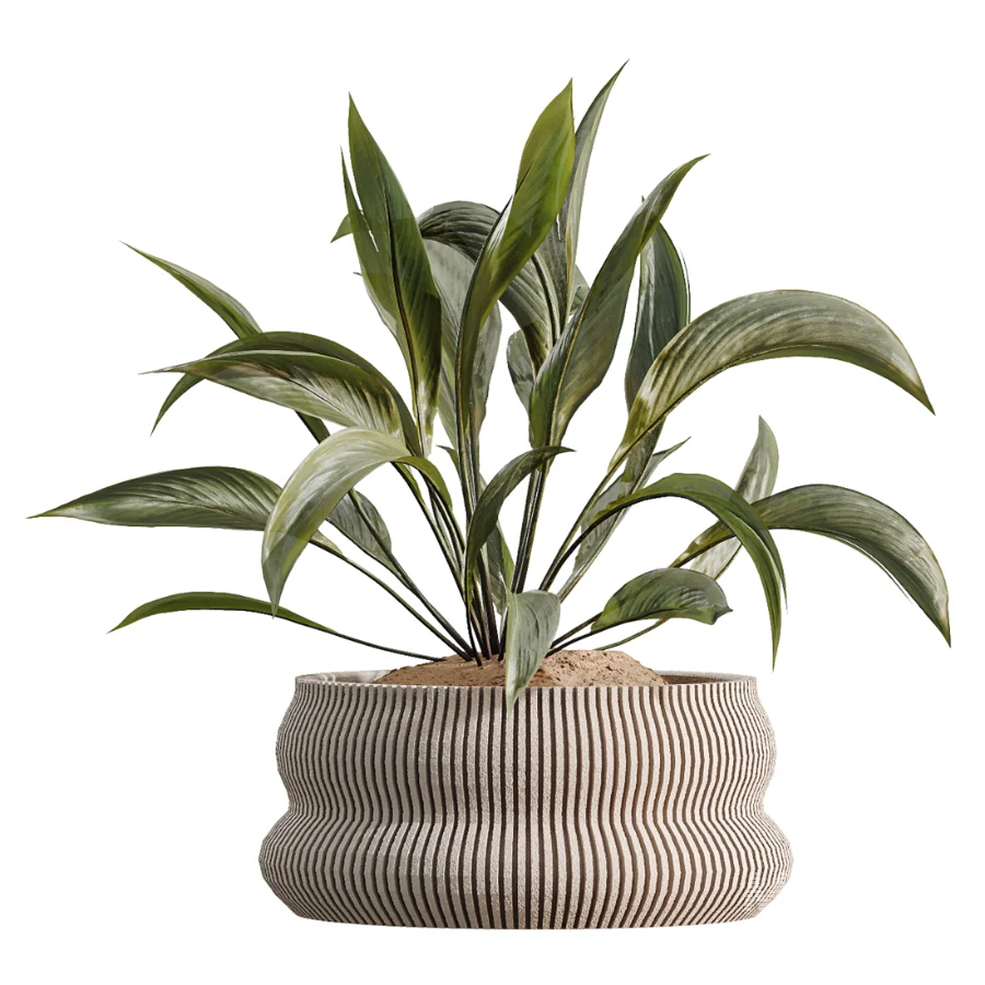 ntal plant species to create a balanced composition suitable for modern interiors, outdoor environments, and high-end architectural scenes. - Image 6