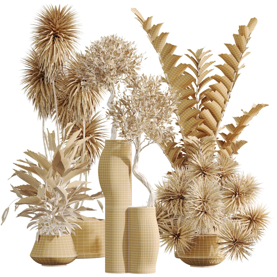 AV Indoor Plants Set 476 Yucca Elephantipes and Olive Tree and Zamioculcas Zamiifolia and Peace Lily - Image 10