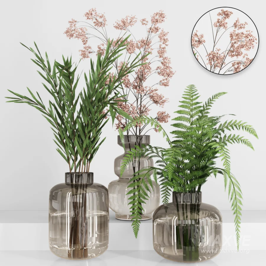 Plant Collection 017 - Image 3