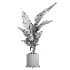 indoor plant 068 - Thumbnail 5