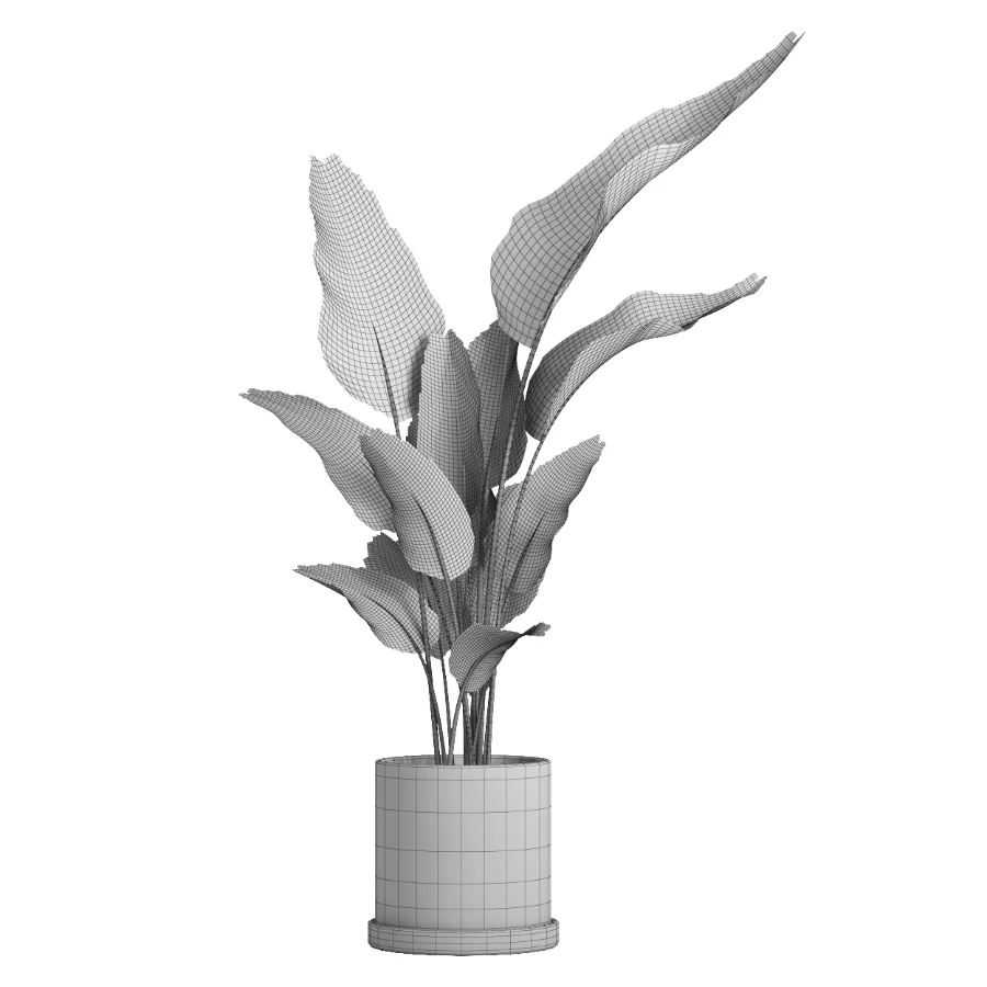 indoor plant 068 - Image 5