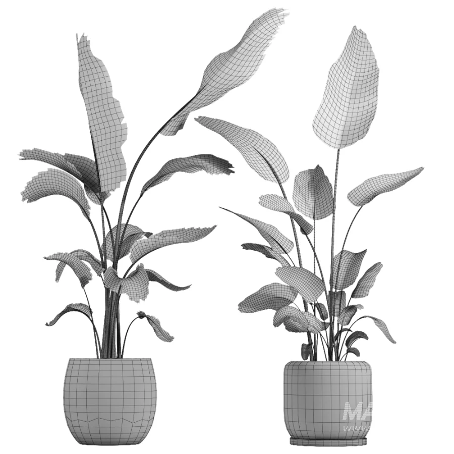 indoor plant 073 - Image 4