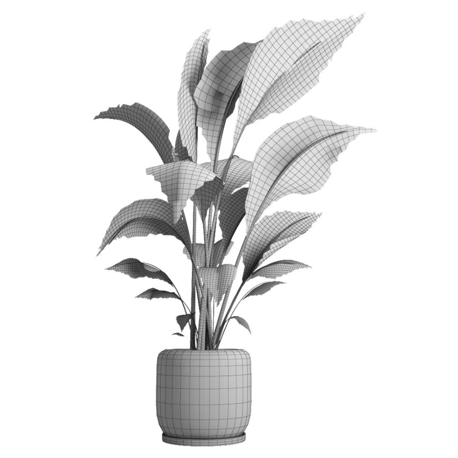 indoor plant 051 - Image 5