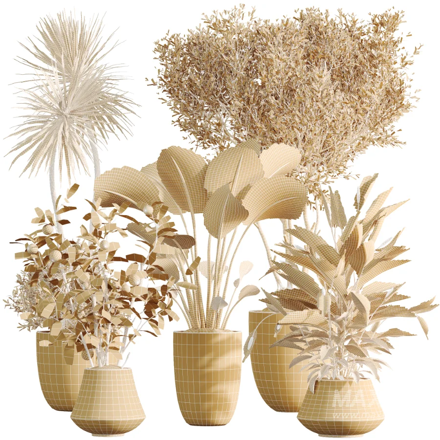 AV Indoor Plants Set 482 Peace Lily Banana Olive Yucca Orange - Image 8