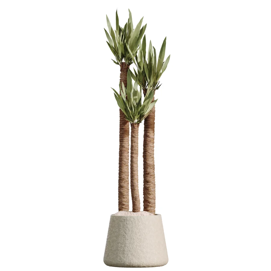 AV Indoor Plants Set 480 Olive Palm ParadiseBird Yucca - Image 3