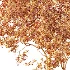 AV Plant Prunus Salicina Plum Pflaume Fruit Tree 01 - Thumbnail 11