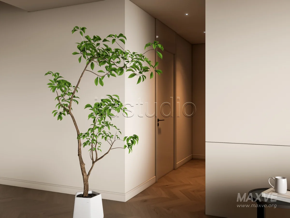 LIVING ROOM 97 - Image 16