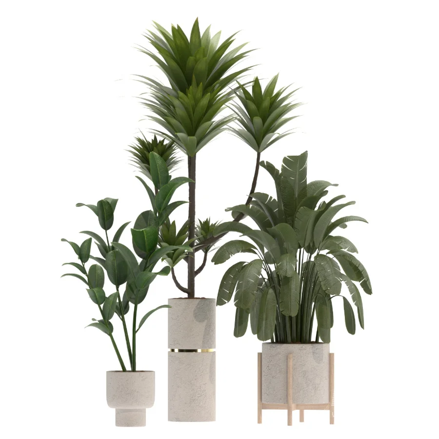 indoor-plant-020 - Image 3