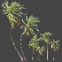 AV Plant Cocos Nucifera Palm Tree 01 - Thumbnail 7