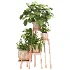 Planting Stand 01 - Thumbnail 2