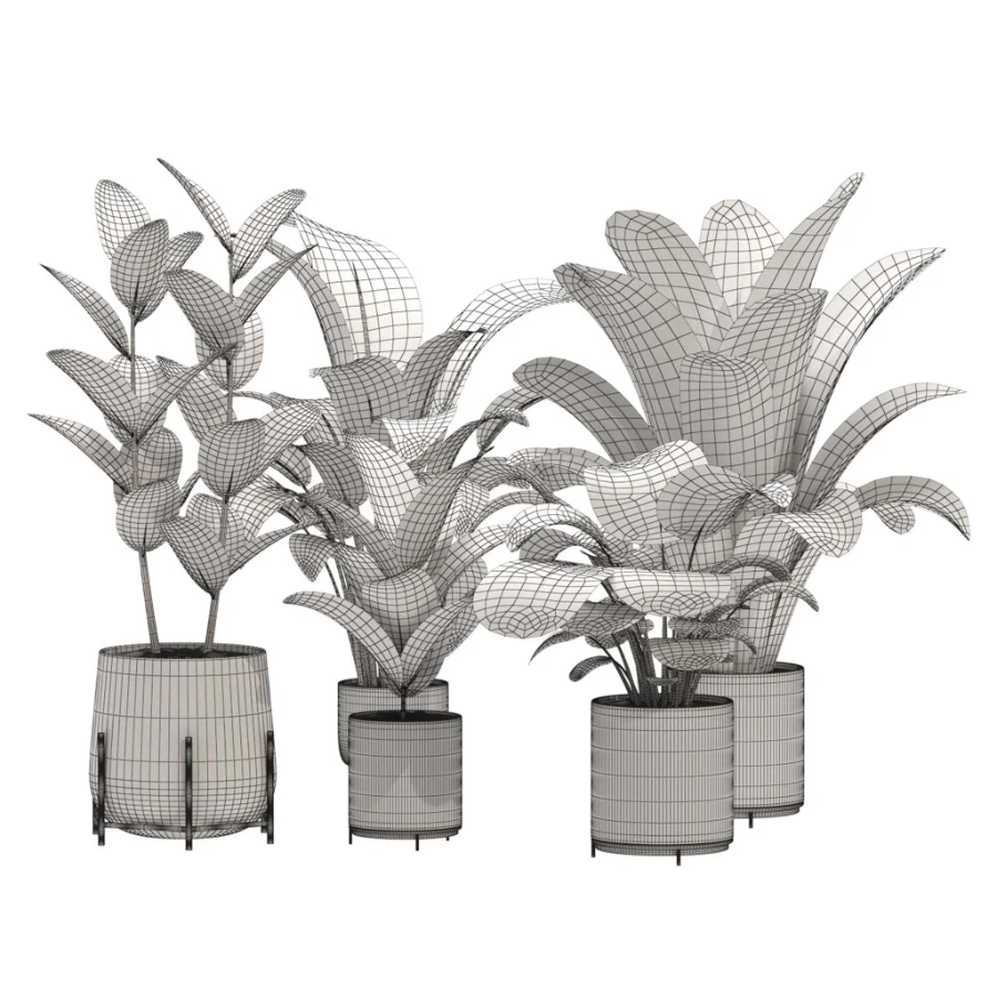 indoor-plant-015 - Image 2